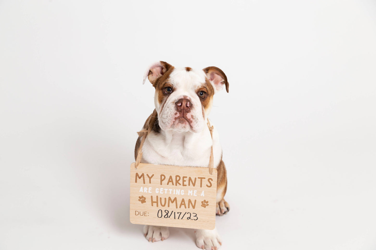 Pet Pregnancy Announcement Sign