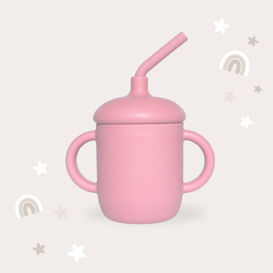 Sippy Cup - Dusty Rose