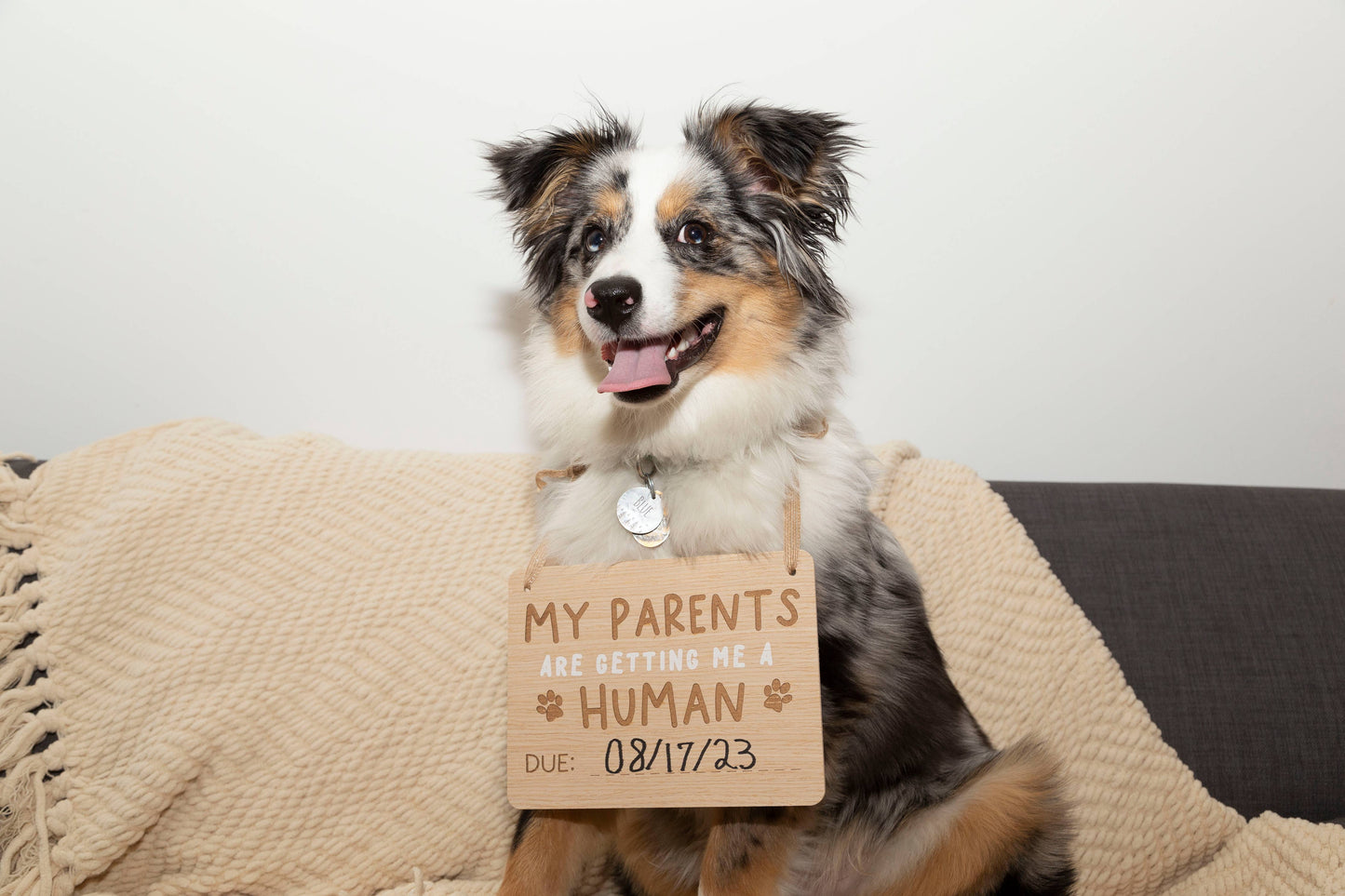 Pet Pregnancy Announcement Sign