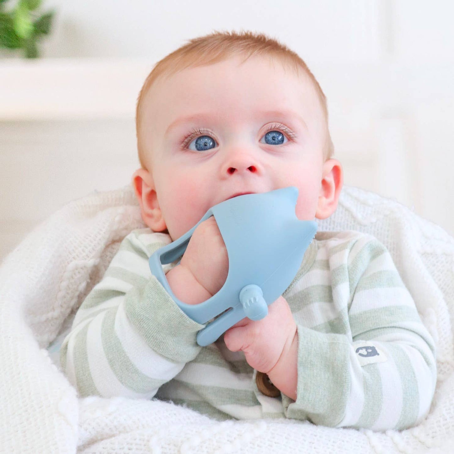 Cat Teething Mitt - Dusty Teal