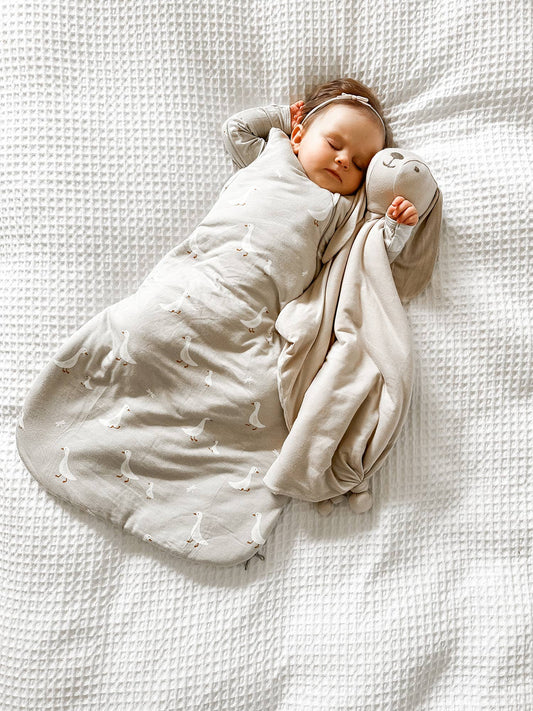 Transitional Swaddle Bag