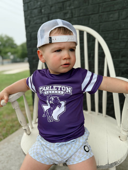 Tarleton State Striped Sleeve Tee