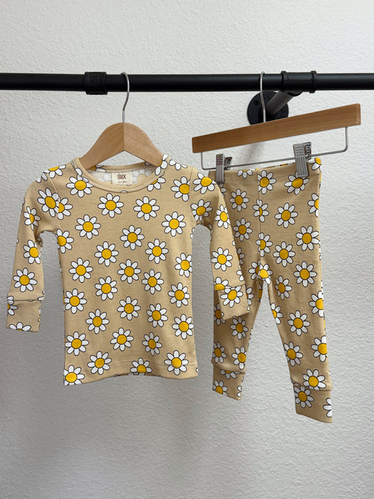 Daisy Pop Biscotti 2-Piece Set