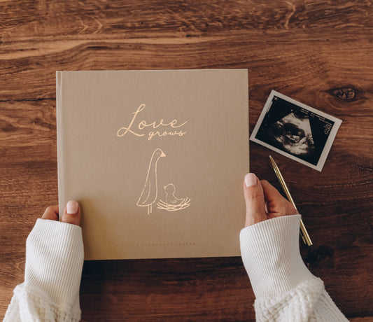Pregnancy Journal - Desert Sand